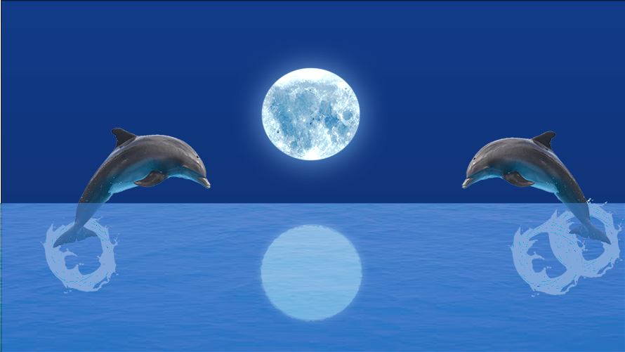 Dolphin Project